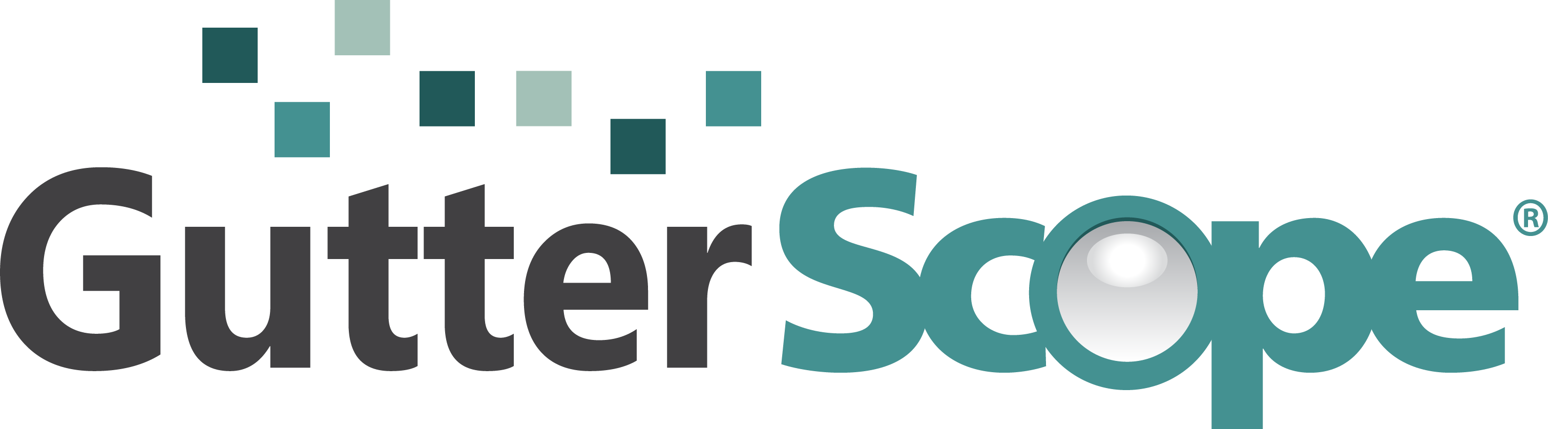 GutterScope