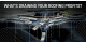 Do Automated Roofing Purchase Orders Actually Boost Profits?