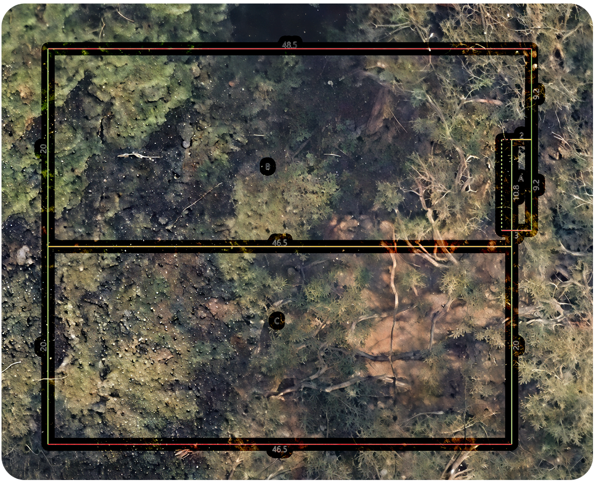Aerial roof imagery under heavy tree cover with measured roof geometry overlaid.